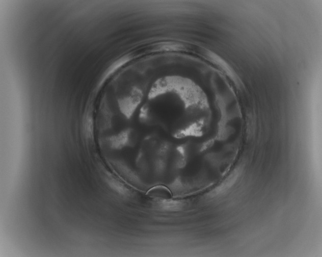 X0000113850827200909241246