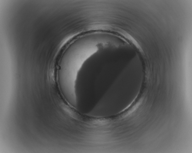 X0000113850830200909241246