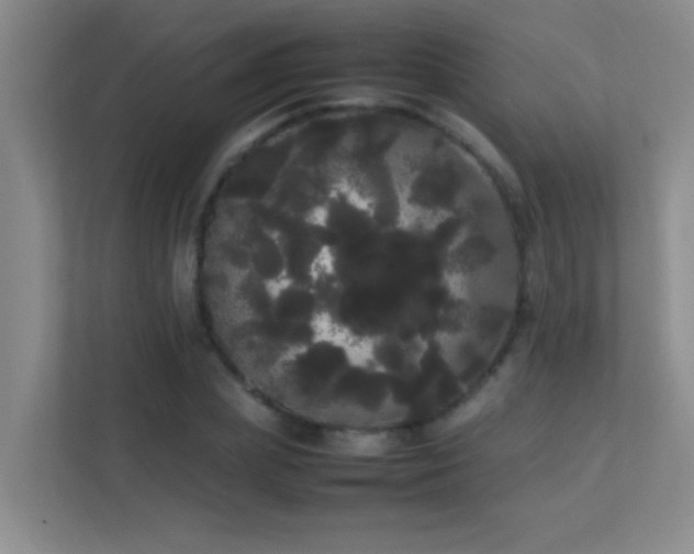 X0000113850831200909241246