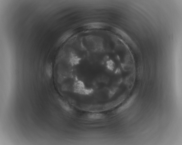 X0000113850833200909241246