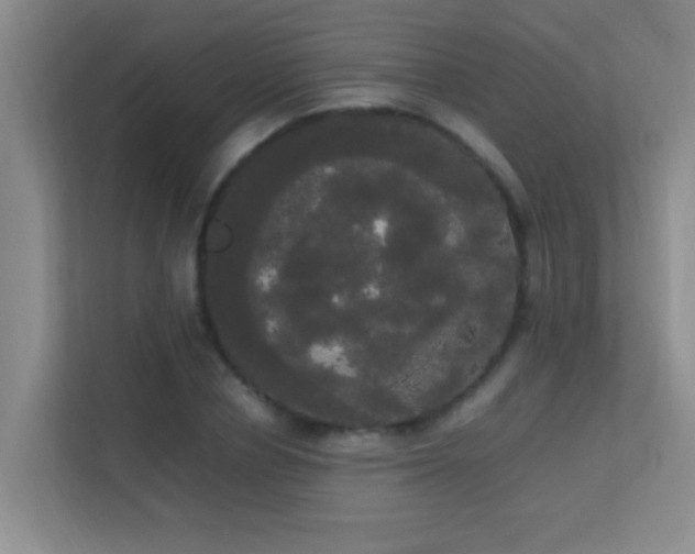 X0000113850834200909241246