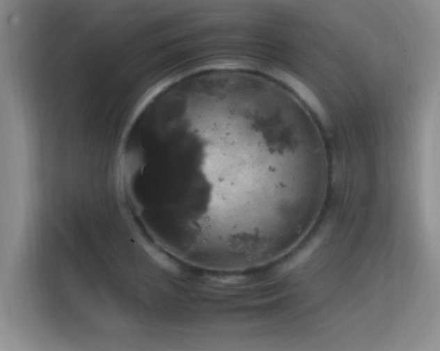 X0000113850837200909241246