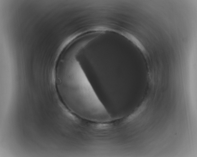 X0000113850839200909241246