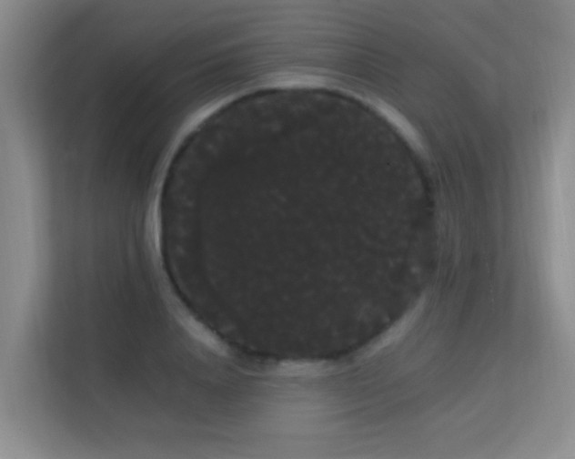 X0000113850840200909241246