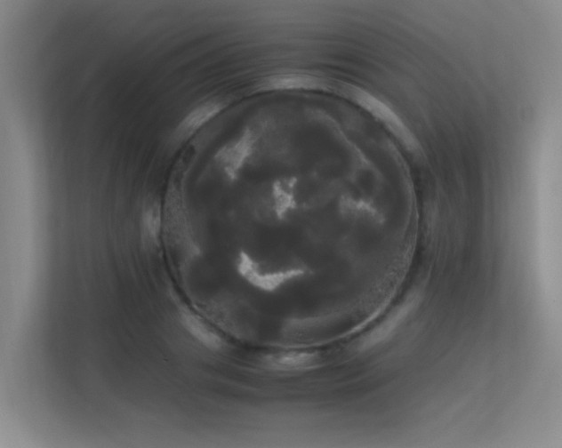 X0000113850841200909241246