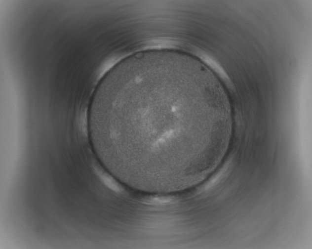 X0000113850842200909241246