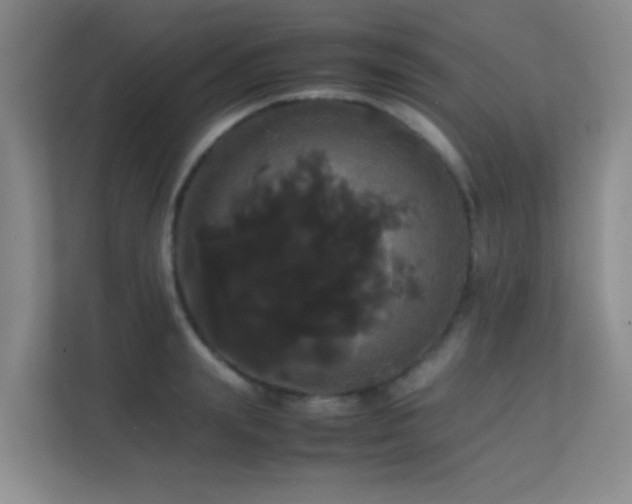 X0000113850847200909241246