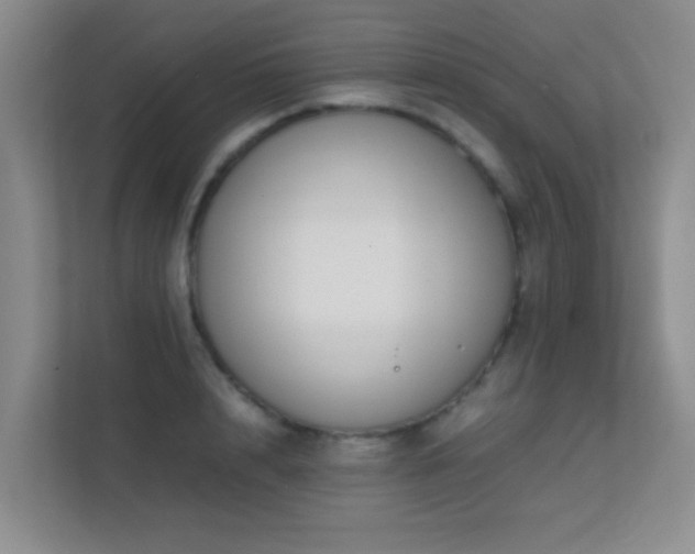 X0000113850848200909241246