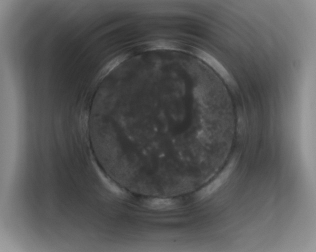 X0000113850849200909241246