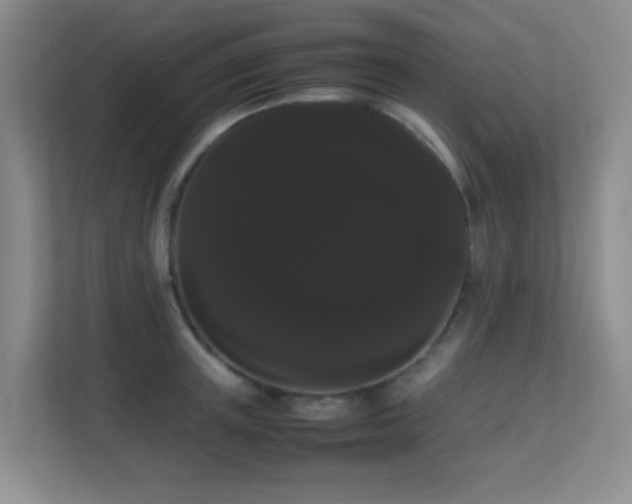 X0000113850851200909241246