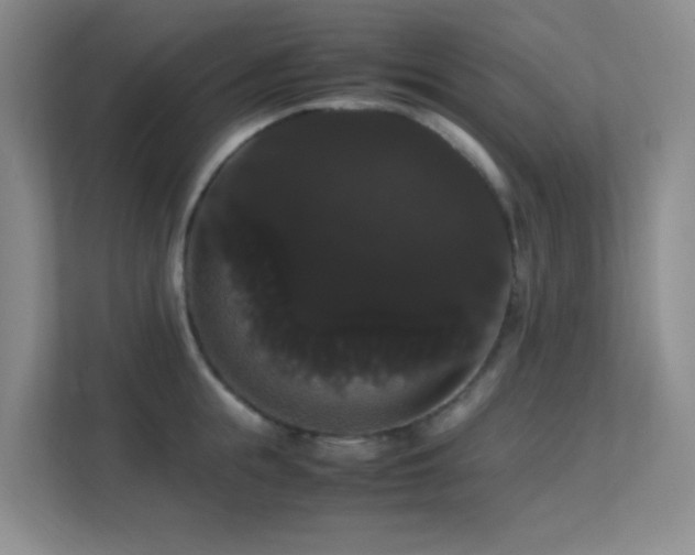 X0000113850855200909241246