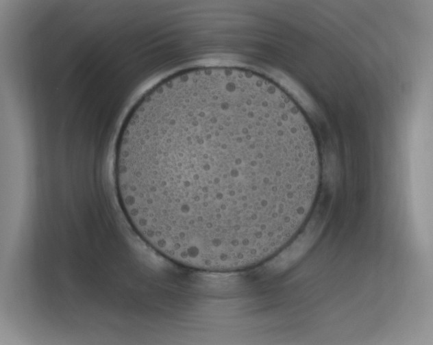 X0000113850856200909241246