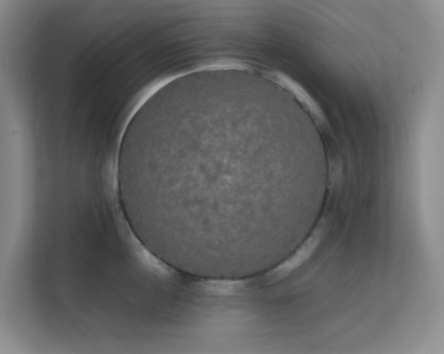 X0000113850860200909241246