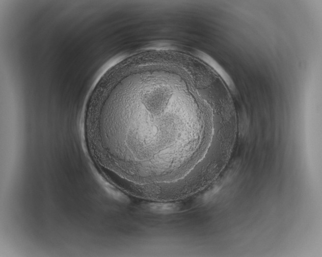 X0000113850861200909241246