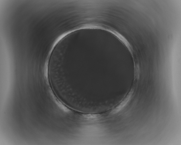 X0000113850862200909241246