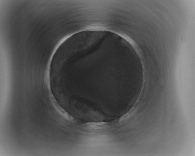 X0000113850864200909241246