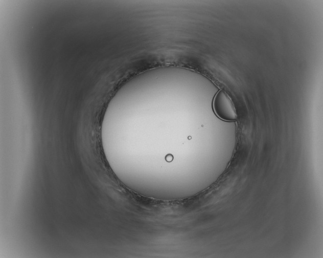 X0000113850865200909241245