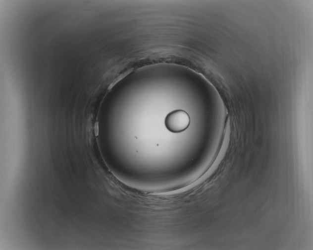 X0000113850868200909241245