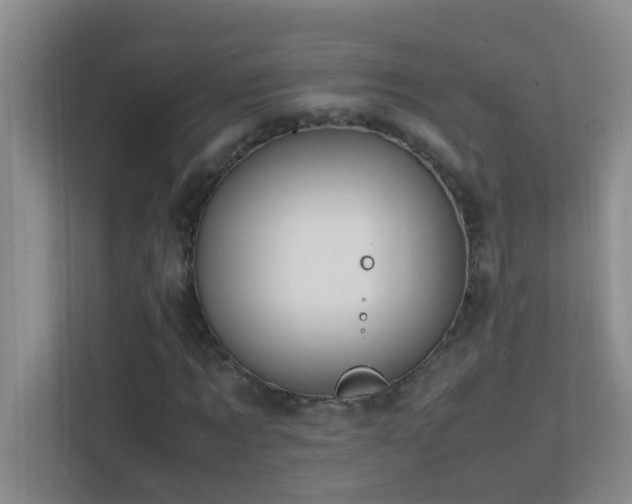 X0000113850869200909241245