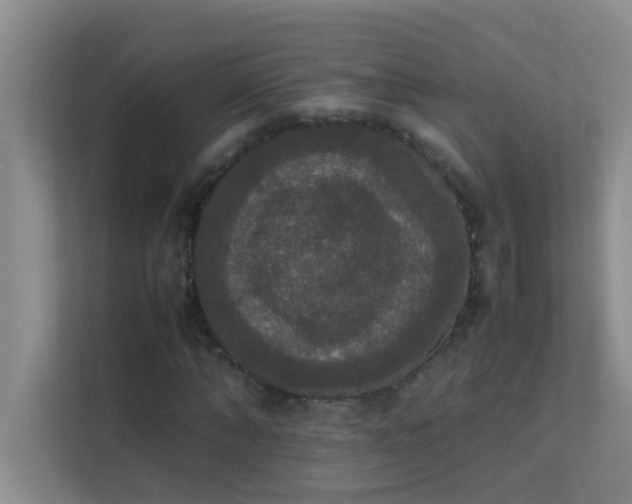 X0000113850870200909241245