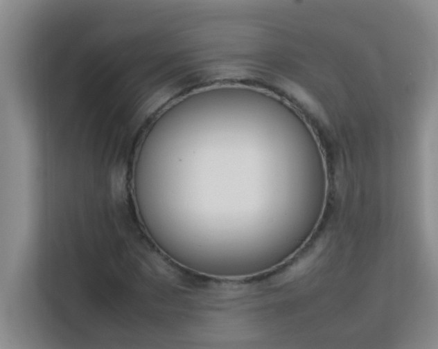 X0000113850873200909241245