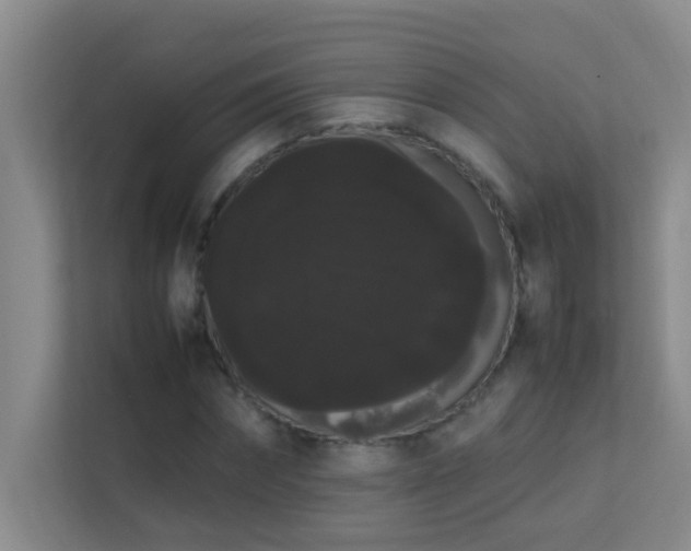 X0000113850874200909241245