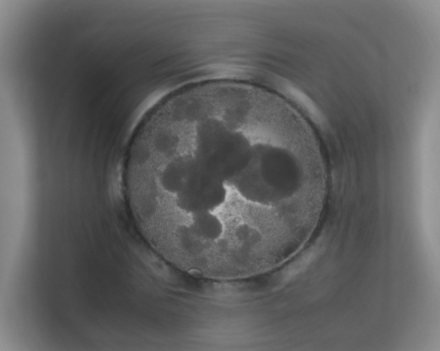 X0000113850875200909241245