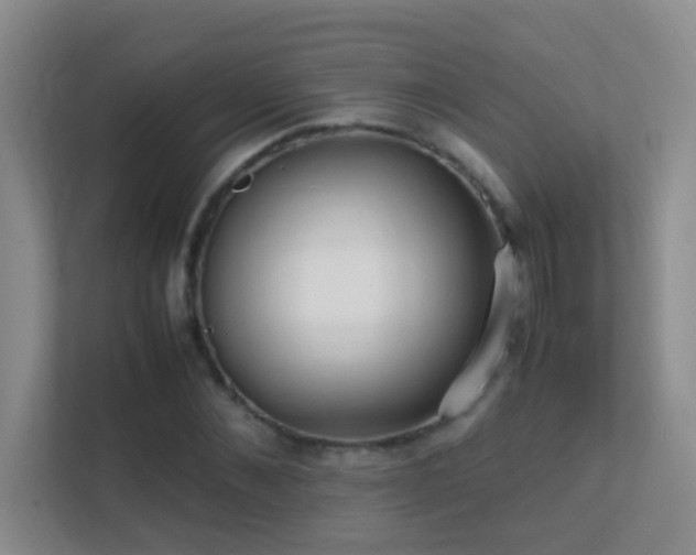 X0000113850876200909241245