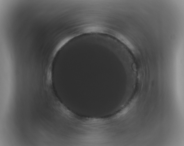 X0000113850877200909241245