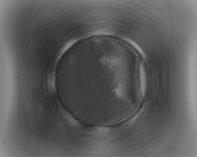 X0000113850878200909241245