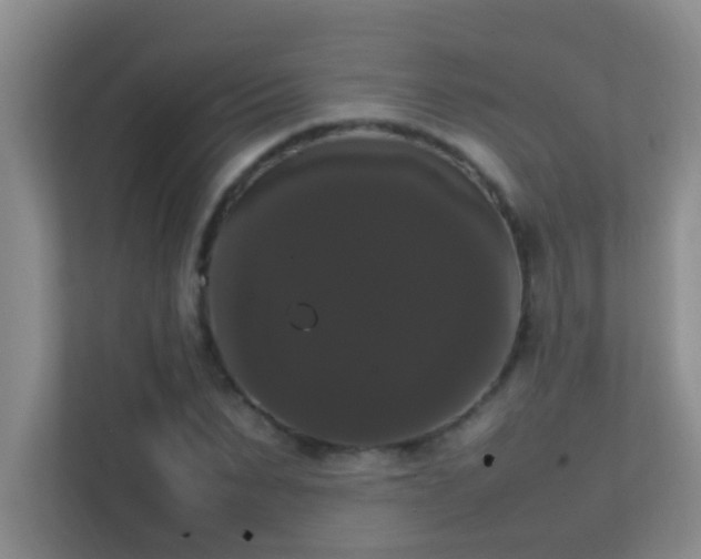 X0000113850879200909241245