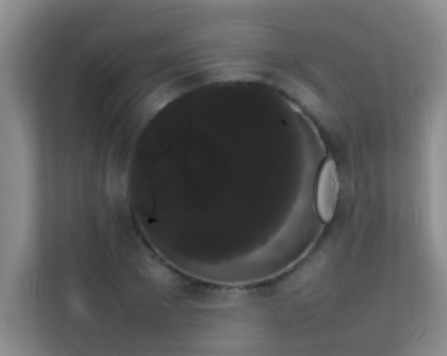 X0000113850881200909241245