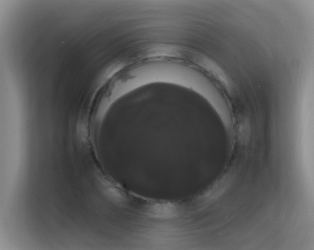 X0000113850882200909241245