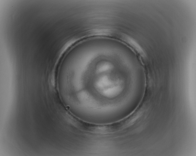 X0000113850883200909241245