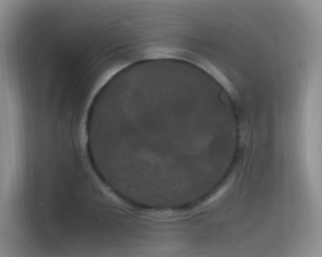 X0000113850885200909241245