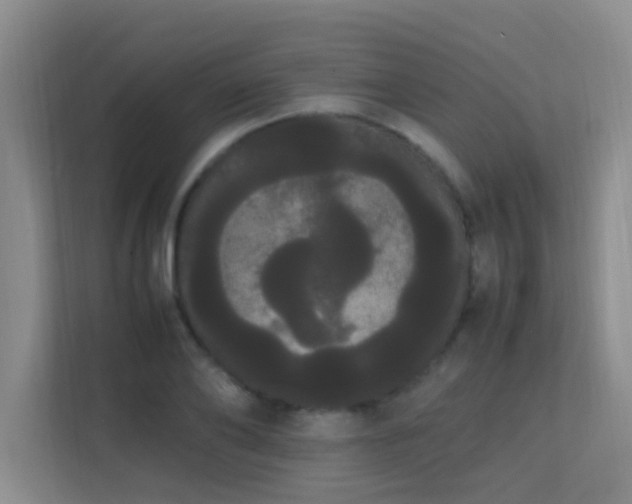 X0000113850886200909241245