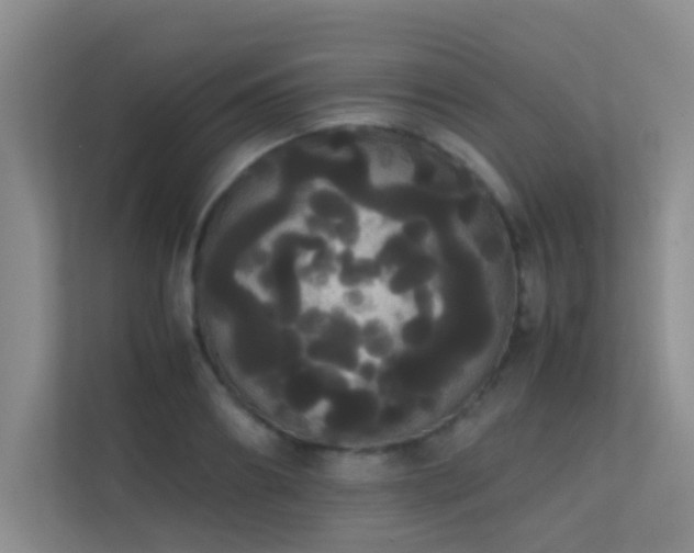 X0000113850890200909241245