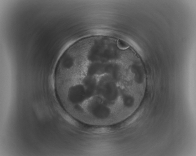 X0000113850891200909241245