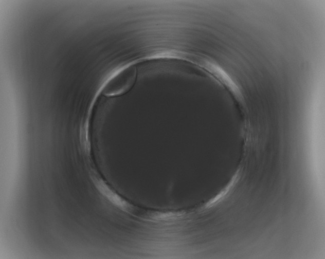 X0000113850892200909241245