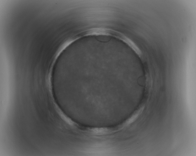 X0000113850893200909241245