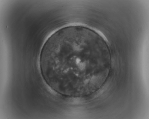 X0000113850895200909241245