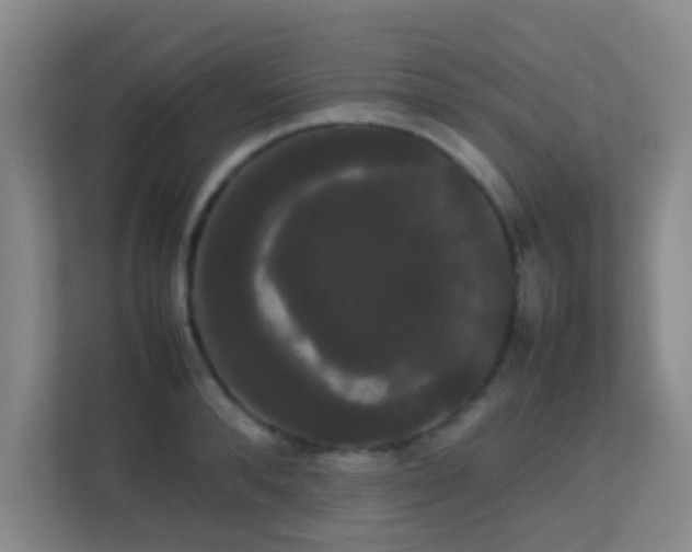 X0000113850896200909241245