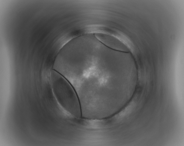 X0000113850897200909241245