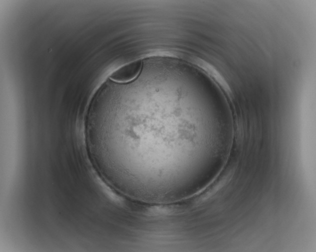 X0000113850898200909241245