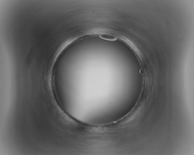 X0000113850901200909241245