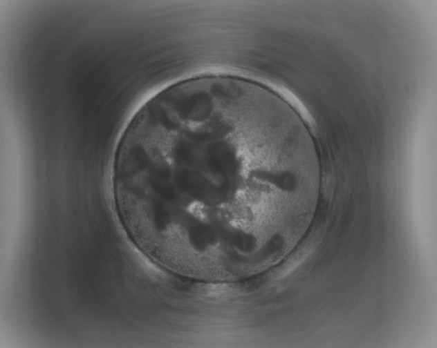 X0000113850903200909241245