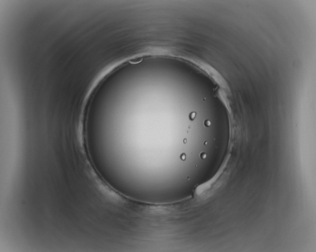 X0000113850904200909241245