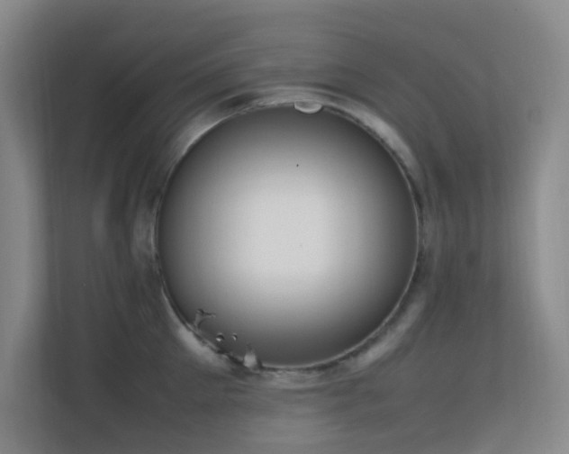 X0000113850905200909241245