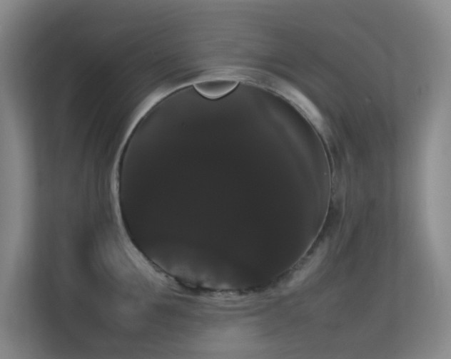 X0000113850907200909241245