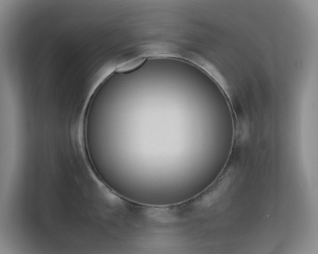 X0000113850909200909241245